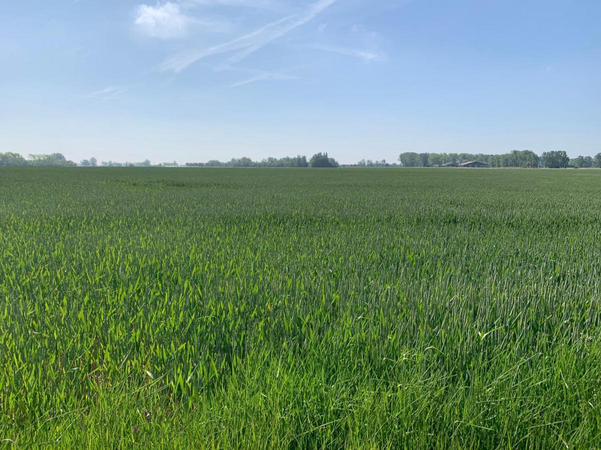 De Scheure, Charmant Vakantiehuisje Midden In De Natuur 알베린젬 외부 사진