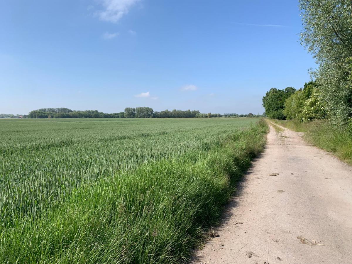 De Scheure, Charmant Vakantiehuisje Midden In De Natuur 알베린젬 외부 사진